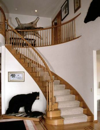 Spiral Stairs