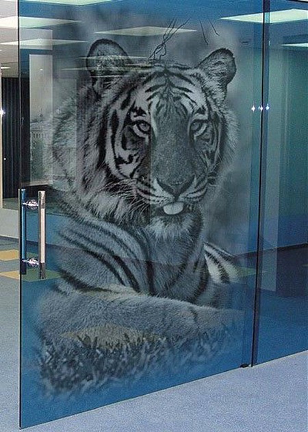 Glass Doors