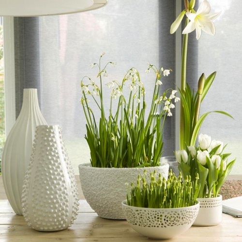 Vases