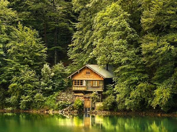 Little Cozy Cottage