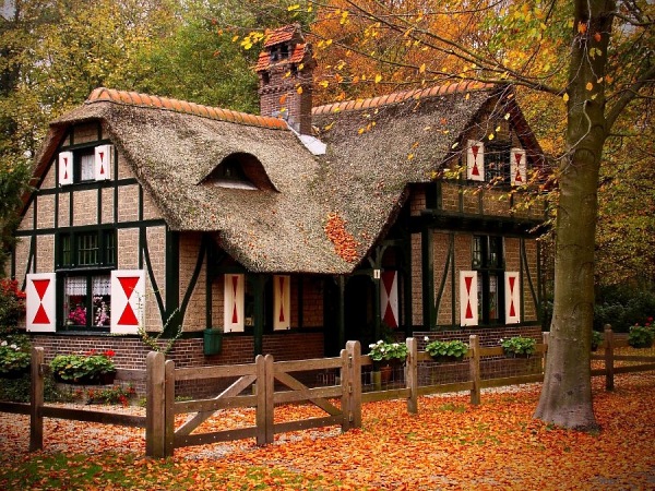 Little Cozy Cottage