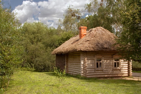 Little Cozy Cottage