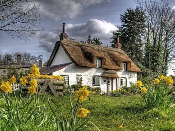 Small House 