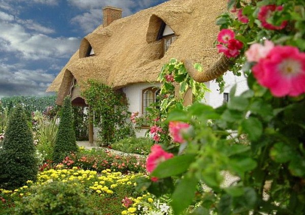 Small House 