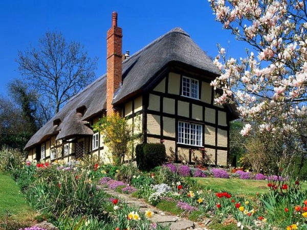 Small House 