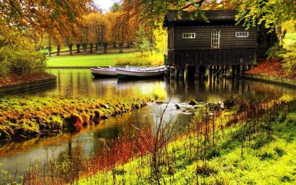 Small House 