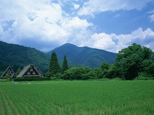 Small House 