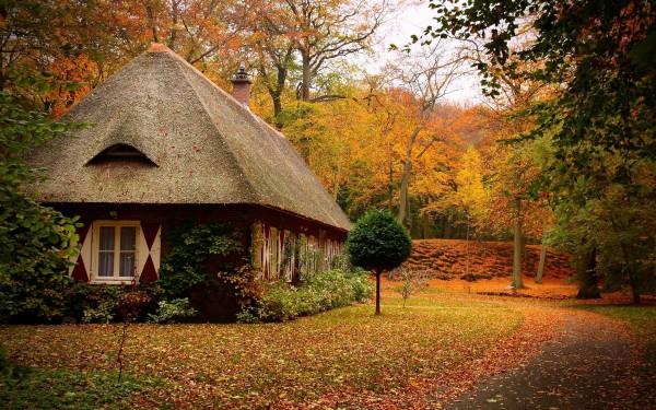 Small House 