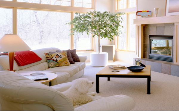 Living Room Design