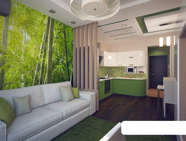 Studio Apartment