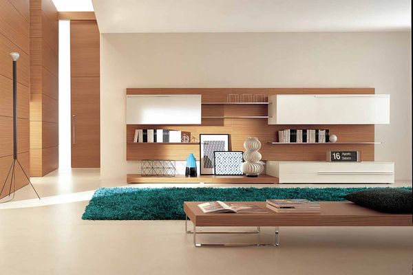 Living Room Design 