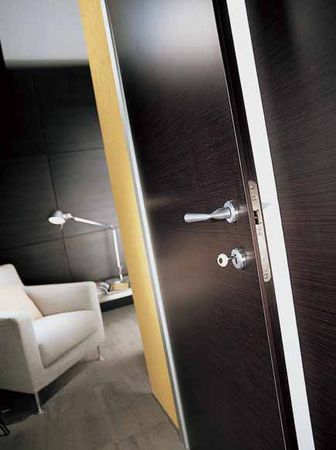 Doors in Interior