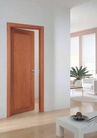 Doors in Interior