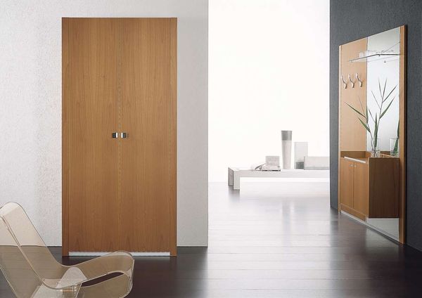 Doors in Interior