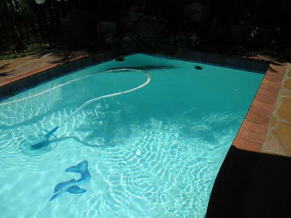 Pool in Country House